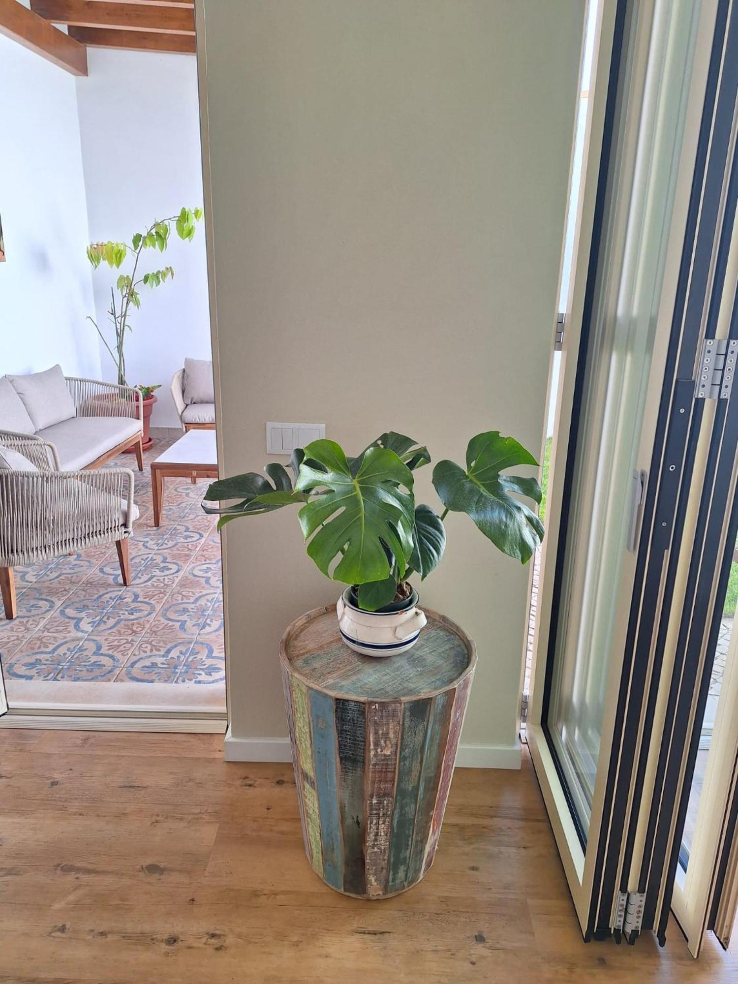 Santa Cruz - B&B Lagos Kültér fotó